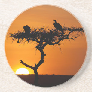 Sunrise at the Masai Mara, Kenya Coaster