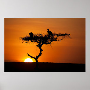 Sunrise at the Masai Mara, Kenya Poster