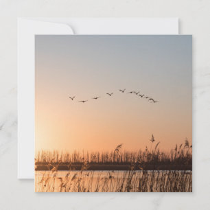 Sunrise Birds Nature Photo Card