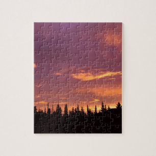 Sunrise Boreal Forest Alaska Jigsaw Puzzle