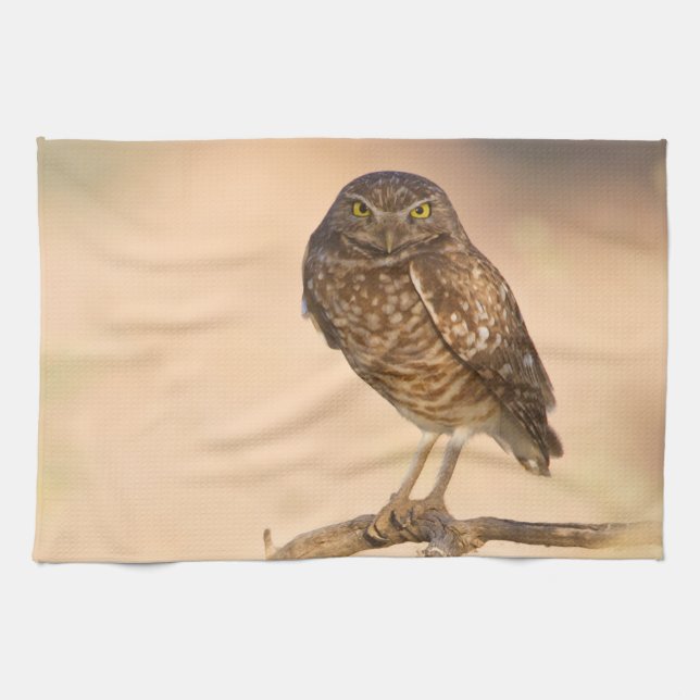 Sunrise Burrowing Owl Tea Towel (Horizontal)