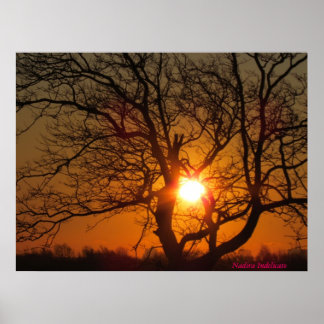 Sunrise canvas Print