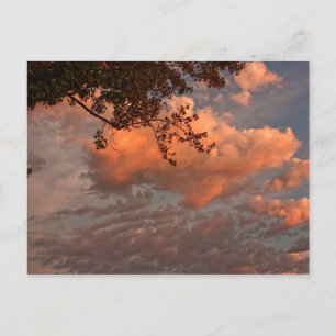 Sunrise clouds, post card
