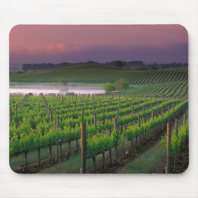 Sunrise colour in the distant fog behind mouse pad (Front)