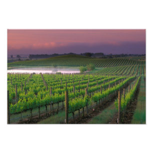 Sunrise colour in the distant fog behind photo print