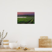 Sunrise colour in the distant fog behind poster (Kitchen)
