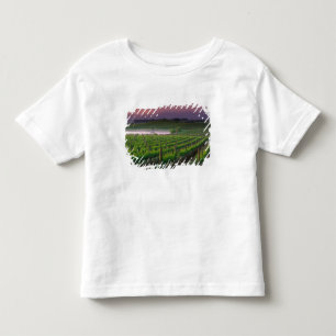 Sunrise colour in the distant fog behind toddler T-Shirt