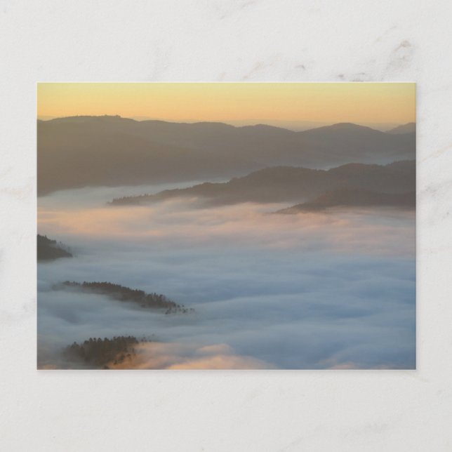 Sunrise fog in Pieniny Postcard (Front)