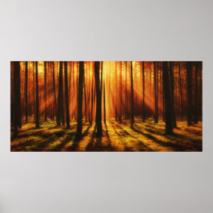 Sunrise Forest Poster