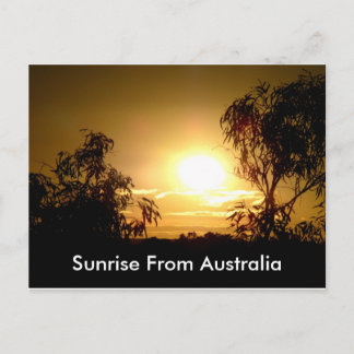 Sunrise From Australia  Postcard