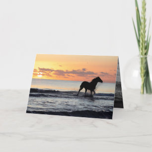 Sunrise Horse in the Water Horse Greeting Card