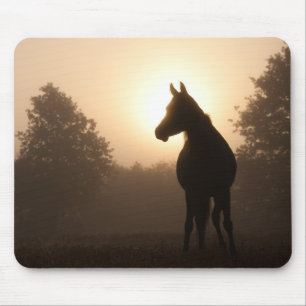 Sunrise Horse Mouse Pad
