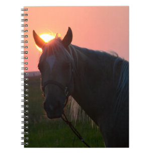 Sunrise Horse Notebook