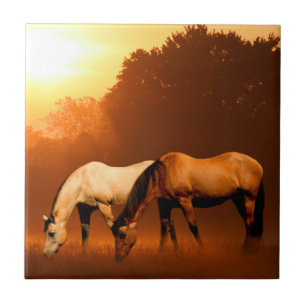 Sunrise horses tile