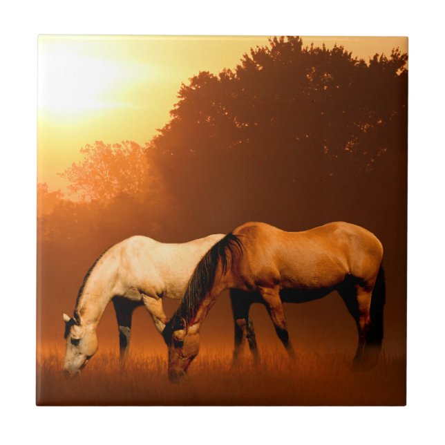 Sunrise horses tile (Front)