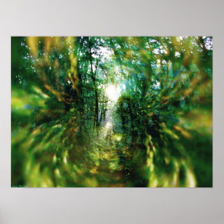 Sunrise in the Forest 2 Poster