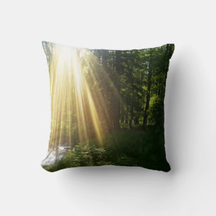 Sunrise in the forest cushion
