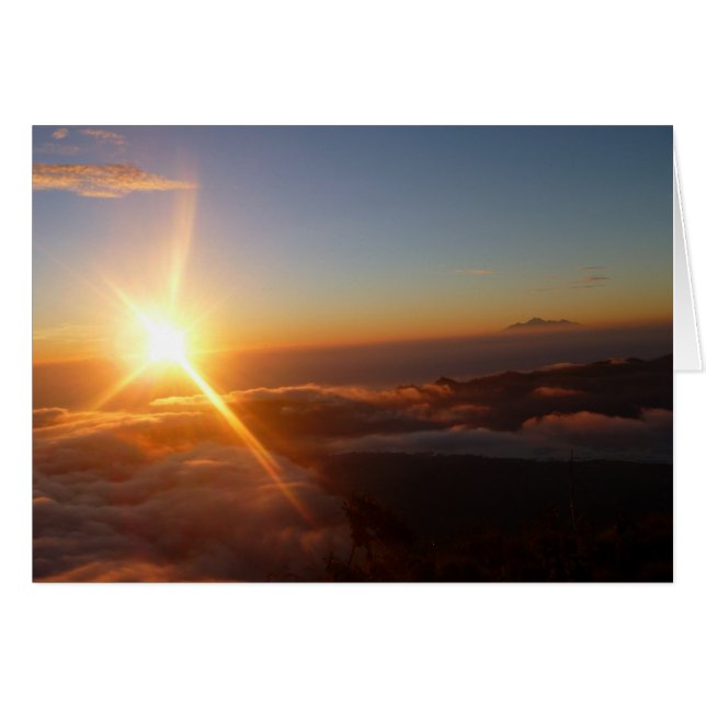 Sunrise Joy (Front Horizontal)