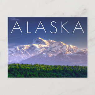 Sunrise Kisses Mt. McKinley   Alaska Range Postcard