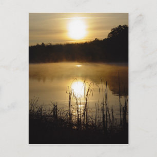 Sunrise Lake Reflection Postcard