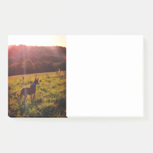 Sunrise Landscape with Dog Post-it Notes