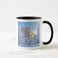 Sunrise light hits El Capitan through snowy