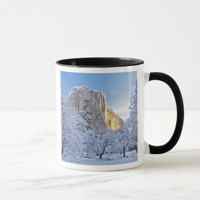 Sunrise light hits El Capitan through snowy Mug (Right)