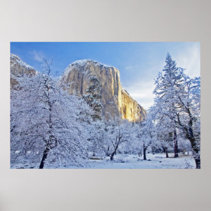 Sunrise light hits El Capitan through snowy Poster