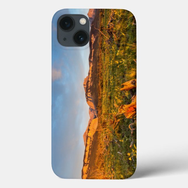 Sunrise Lights Blackleaf Canyon 2 Case-Mate iPhone Case (Back)