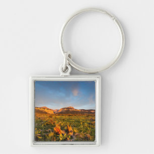 Sunrise Lights Blackleaf Canyon 2 Key Ring