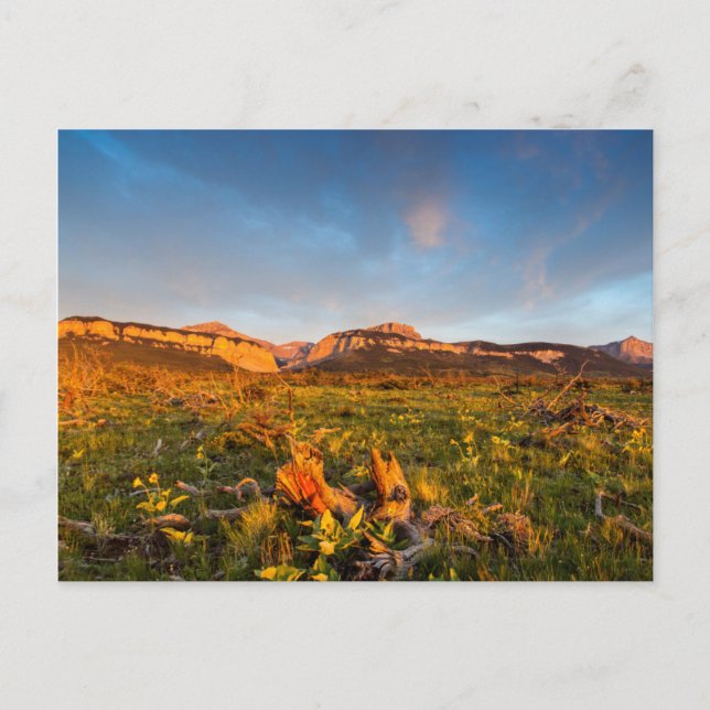 Sunrise Lights Blackleaf Canyon 2 Postcard (Front)