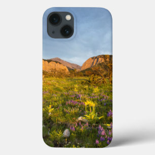 Sunrise Lights Blackleaf Canyon iPhone 13 Case