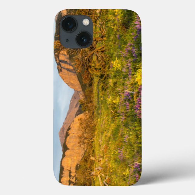 Sunrise Lights Blackleaf Canyon Case-Mate iPhone Case (Back)