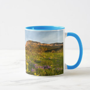 Sunrise Lights Blackleaf Canyon Mug