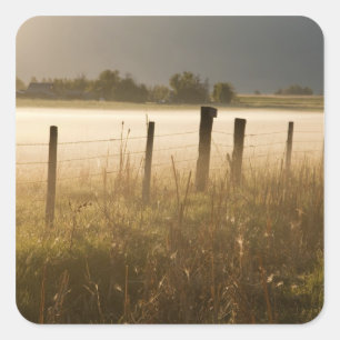 Sunrise lights fog along fence near Charlo Square Sticker