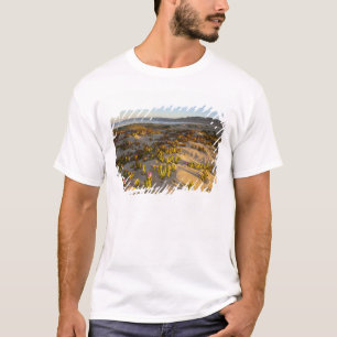 Sunrise lights the sand dunes and sea fig at T-Shirt