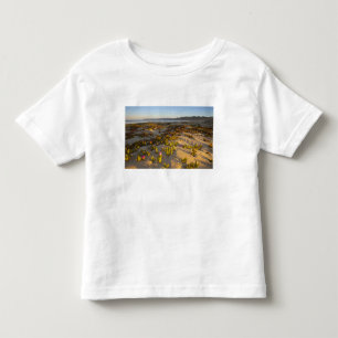 Sunrise lights the sand dunes and sea fig at toddler T-Shirt