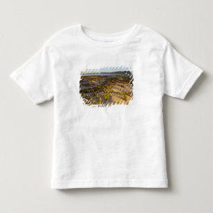 Sunrise lights the sand dunes and sea fig at toddler T-Shirt