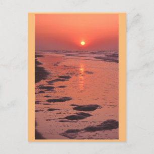 Sunrise, Low Tide Postcard