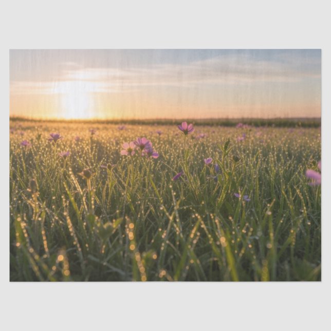 Sunrise Meadow Pink Wildflowers Dew Tissue Paper (Front)