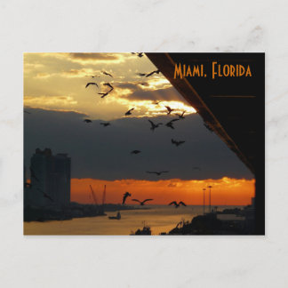SUNRISE......    Miami, Florida Postcard