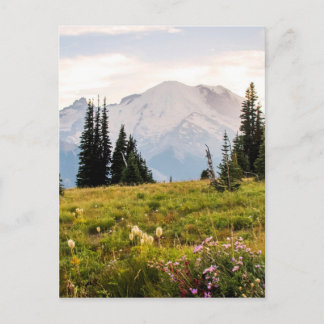 Sunrise Mt. Rainier Gifts Postcard