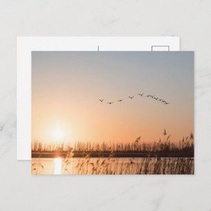 Sunrise Nature Photo Holiday Postcard