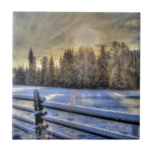 Sunrise on a Winter Pasture in Snow Tile