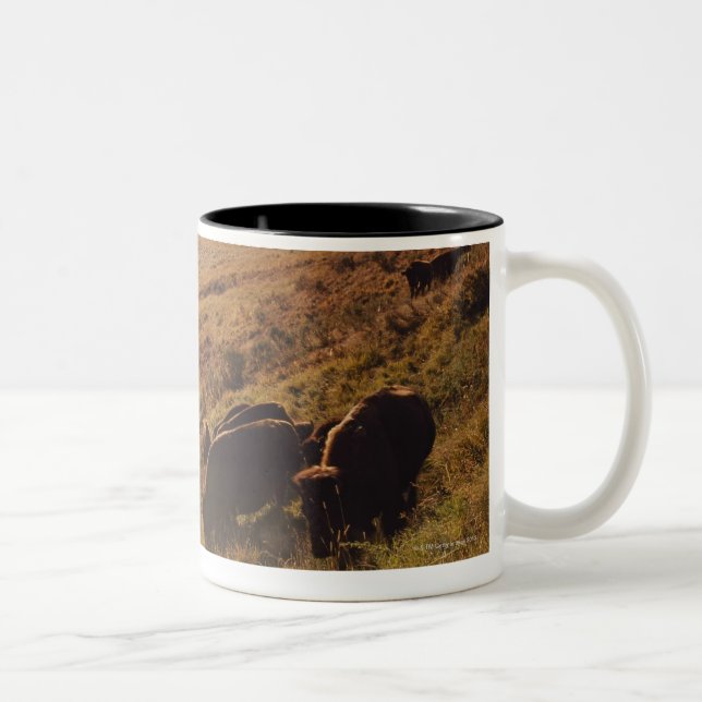 Sunrise On Bison Two-Tone Coffee Mug (Right)