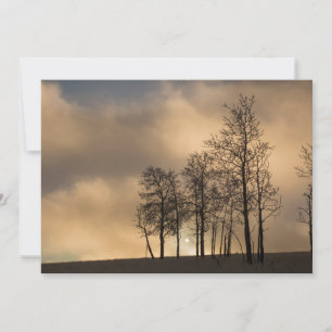 Sunrise on Clouds and Trees Thank You Card