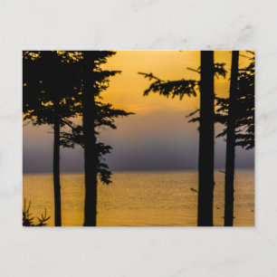 Sunrise on Gouldsboro Bay, Maine Postcard