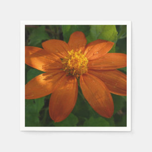 Sunrise on Mexican Sunflower Orange Floral Napkin