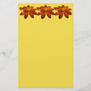 Sunrise on Mexican Sunflower Orange Floral Stationery
