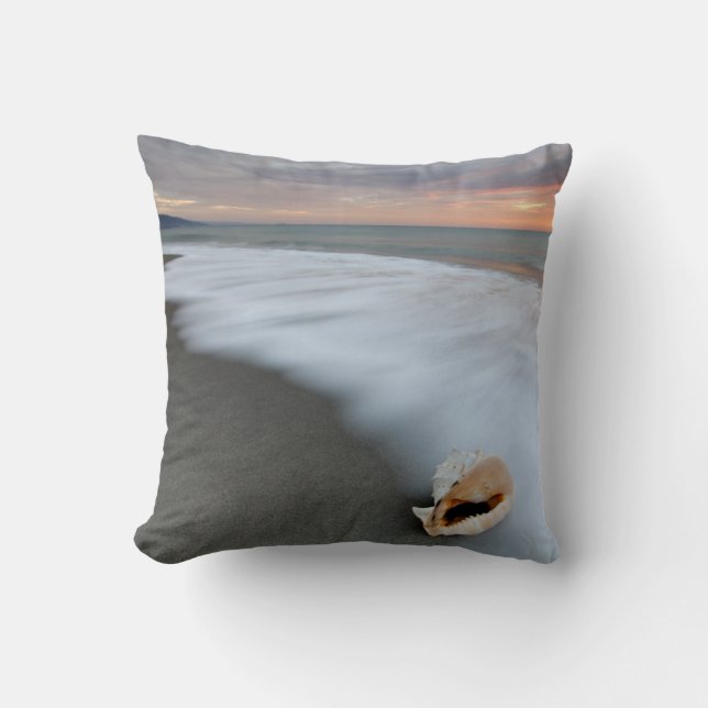 Sunrise On The Beach And A Shell Cushion (Front)
